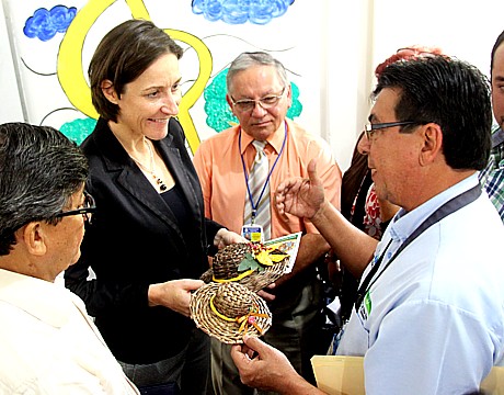 embajada de la union europea en venezuela 10